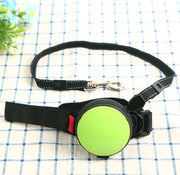 Automatic Retractable Dog Leash with Light (3m)