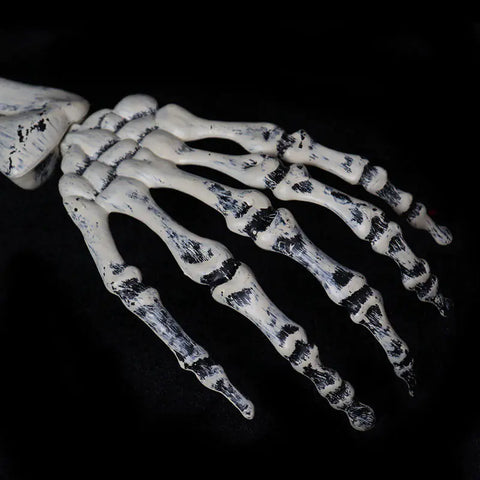 Halloween Skeleton Decoration Set for Garden (3 Pieces)