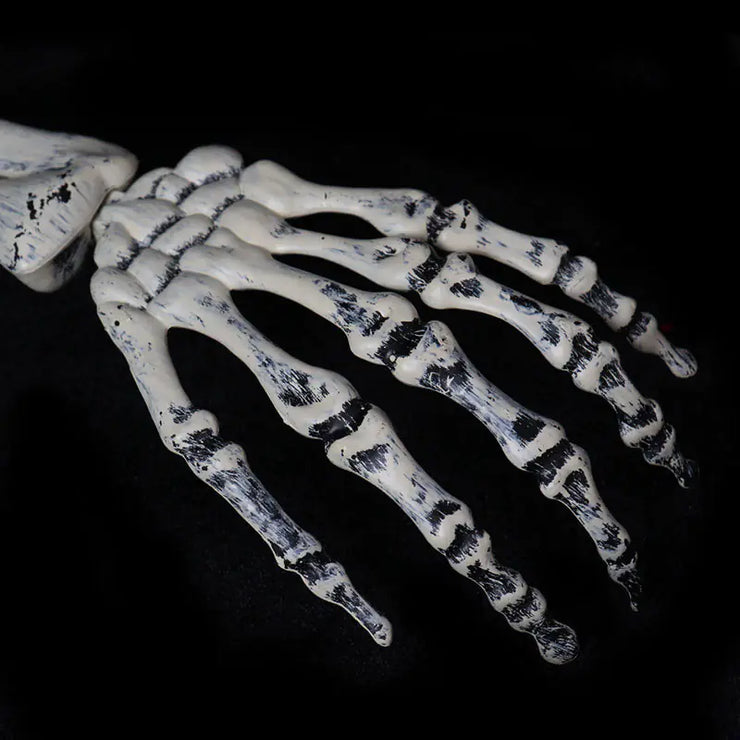 Halloween Skeleton Decoration Set for Garden (3 Pieces)