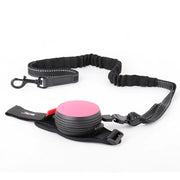 Automatic Retractable Dog Leash with Light (3m)