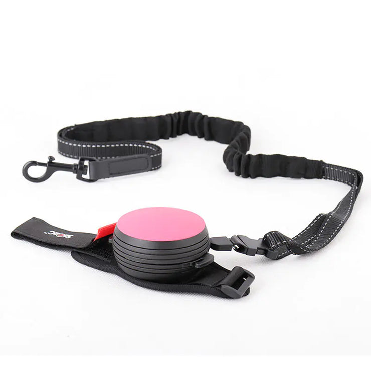 Automatic Retractable Dog Leash with Light (3m)