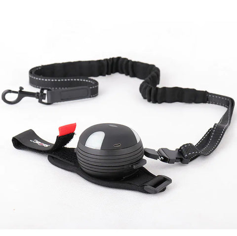 Automatic Retractable Dog Leash with Light (3m)