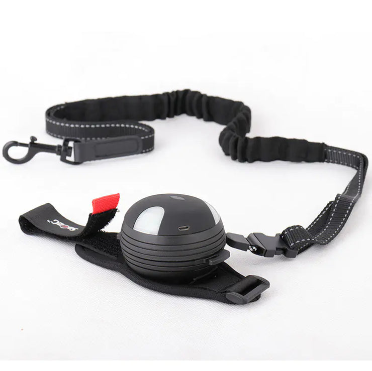 Automatic Retractable Dog Leash with Light (3m)