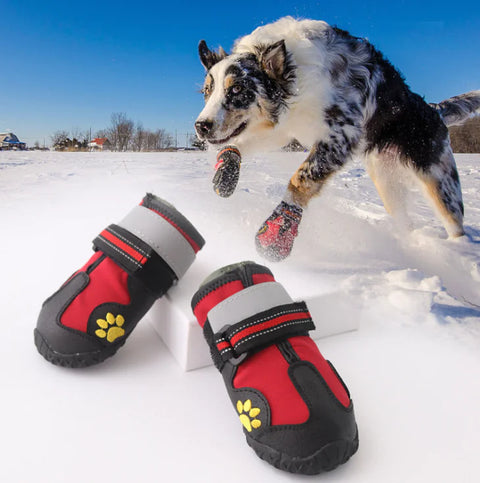 Breathable Waterproof Dog Shoes with Paw Covers