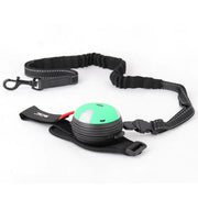 Automatic Retractable Dog Leash with Light (3m)