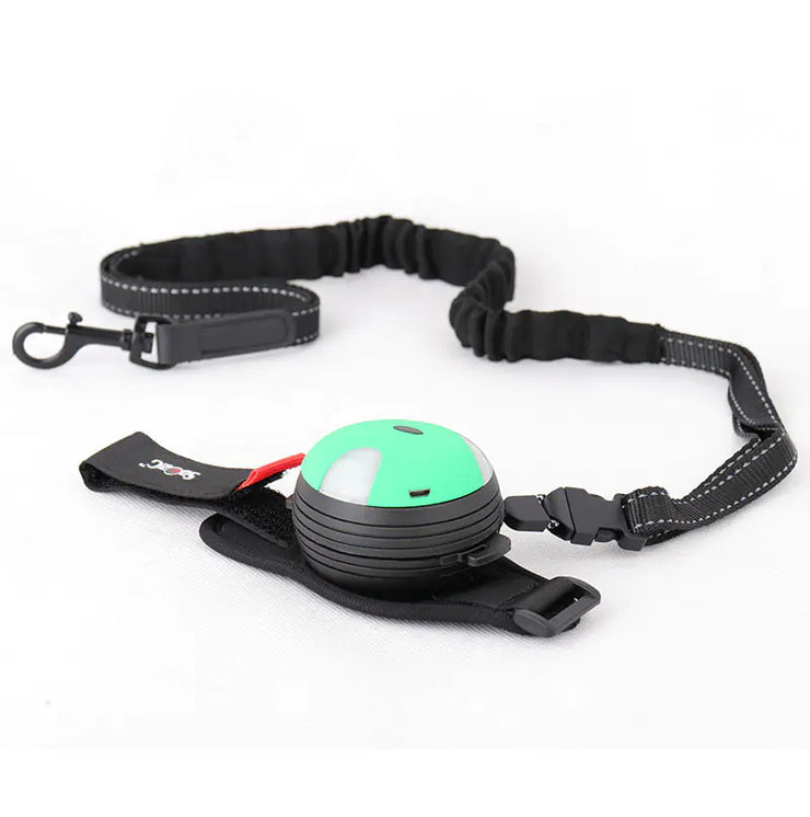 Automatic Retractable Dog Leash with Light (3m)